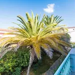 In Meernaehe Auf Sardinien אורוסיי